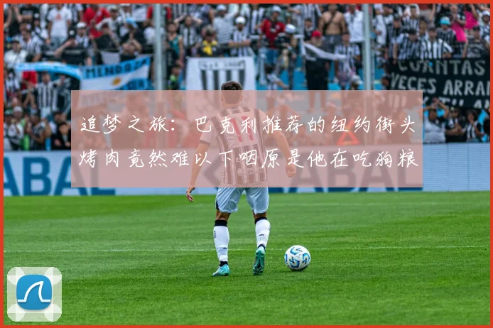 追梦之旅：巴克利推荐的纽约街头烤肉竟然难以下咽原是他在吃狗粮