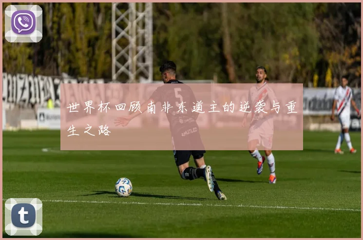 世界杯回顾南非东道主的逆袭与重生之路