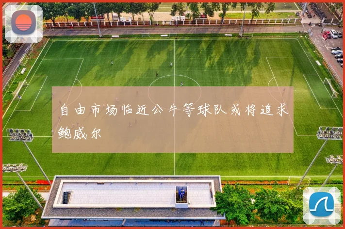 自由市场临近公牛等球队或将追求鲍威尔